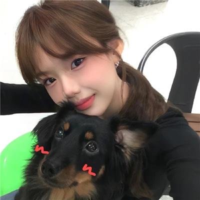 动物神探队第一季